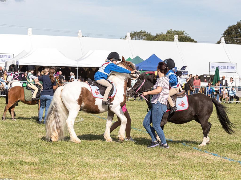 យុទ្ធសាស្ត្រលេង៖ របៀបបង្កើតការចាប់អារម្មណ៍ក្នុងការលេង